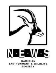 NEWS logo