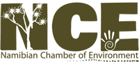 NCE logo